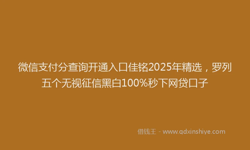 微信支付分查询开通入口佳铭2025年精选，罗列五个无视征信黑白100%秒下网贷口子