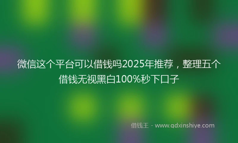 微信这个平台可以借钱吗2025年推荐，整理五个借钱无视黑白100%秒下口子