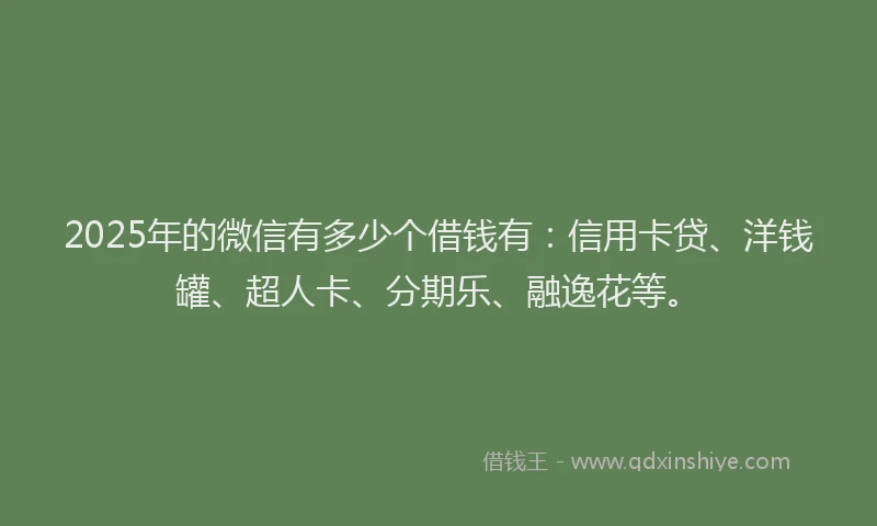2025年的微信有多少个借钱有：信用卡贷、洋钱罐、超人卡、分期乐、融逸花等。