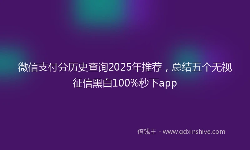 微信支付分历史查询2025年推荐，总结五个无视征信黑白100%秒下app