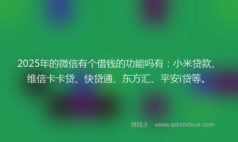 2025年的微信有个借钱的功能吗有：小米贷款、维信卡卡贷、快贷通、东方汇、平安i贷等。