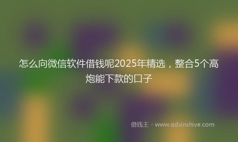 怎么向微信软件借钱呢2025年精选，整合5个高炮能下款的口子