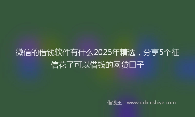 微信的借钱软件有什么2025年精选，分享5个征信花了可以借钱的网贷口子