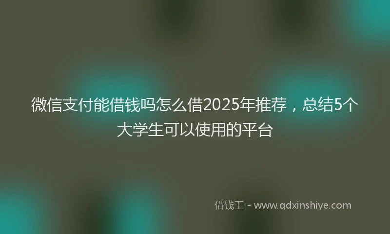 微信支付能借钱吗怎么借2025年推荐，总结5个大学生可以使用的平台