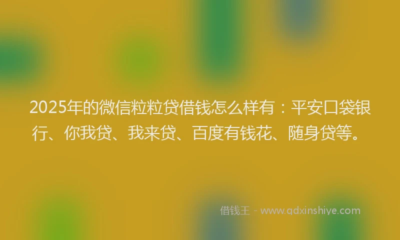 2025年的微信粒粒贷借钱怎么样有：平安口袋银行、你我贷、我来贷、百度有钱花、随身贷等。