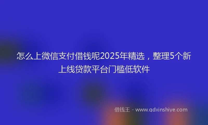 怎么上微信支付借钱呢2025年精选，整理5个新上线贷款平台门槛低软件