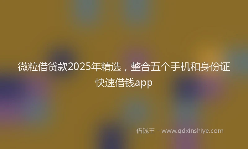 微粒借贷款2025年精选，整合五个手机和身份证快速借钱app