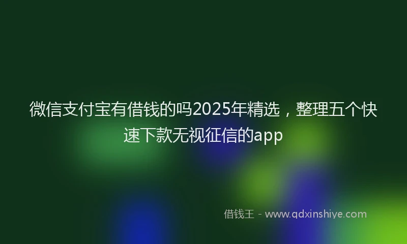 微信支付宝有借钱的吗2025年精选，整理五个快速下款无视征信的app
