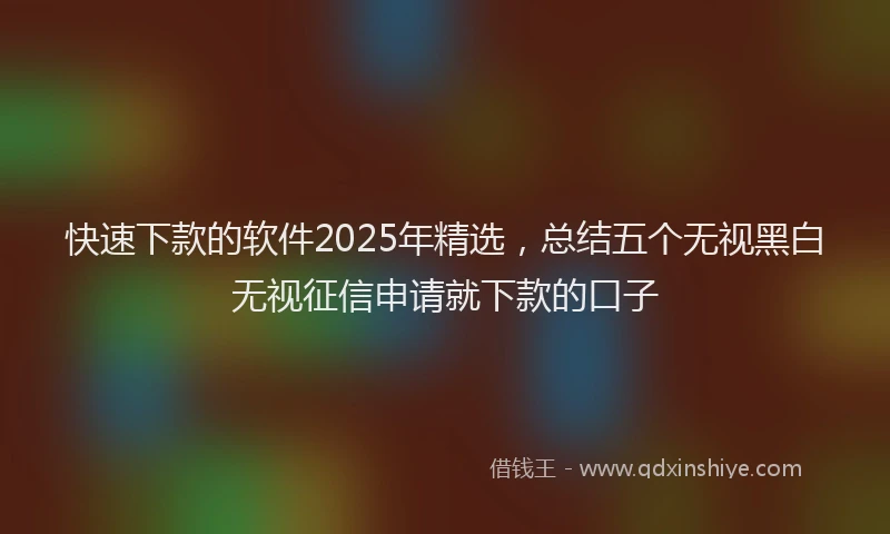 快速下款的软件2025年精选，总结五个无视黑白无视征信申请就下款的口子