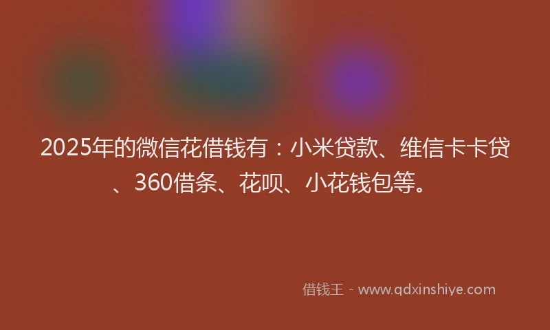 2025年的微信花借钱有：小米贷款、维信卡卡贷、360借条、花呗、小花钱包等。