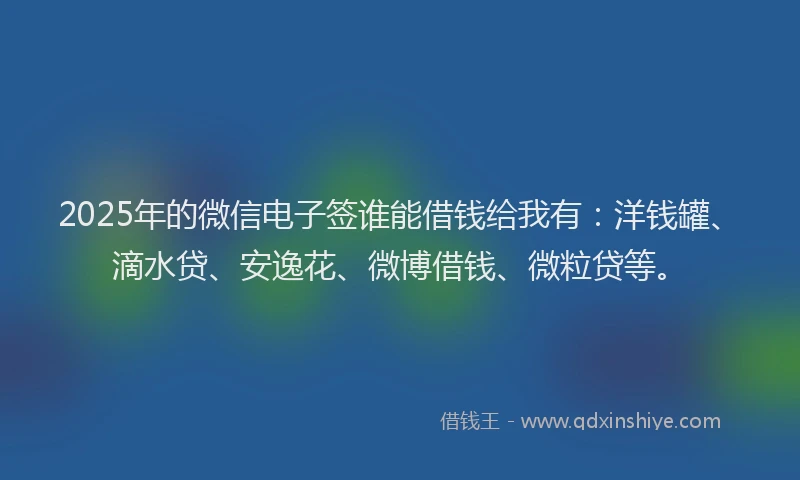 2025年的微信电子签谁能借钱给我有：洋钱罐、滴水贷、安逸花、微博借钱、微粒贷等。