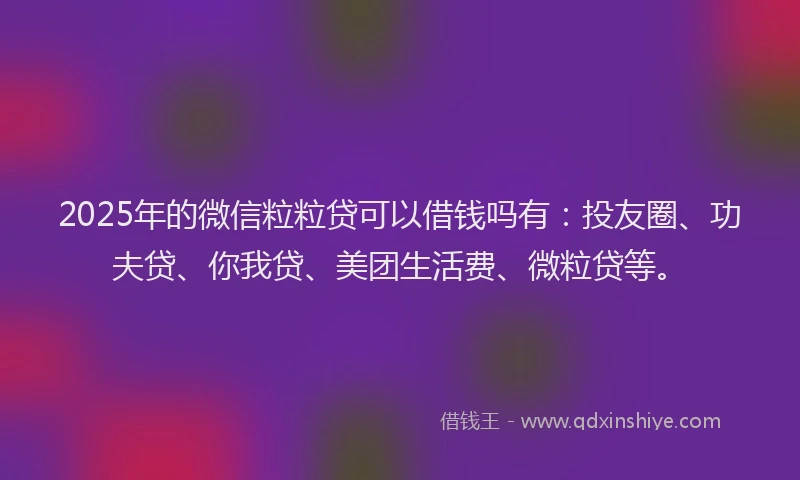 2025年的微信粒粒贷可以借钱吗有：投友圈、功夫贷、你我贷、美团生活费、微粒贷等。