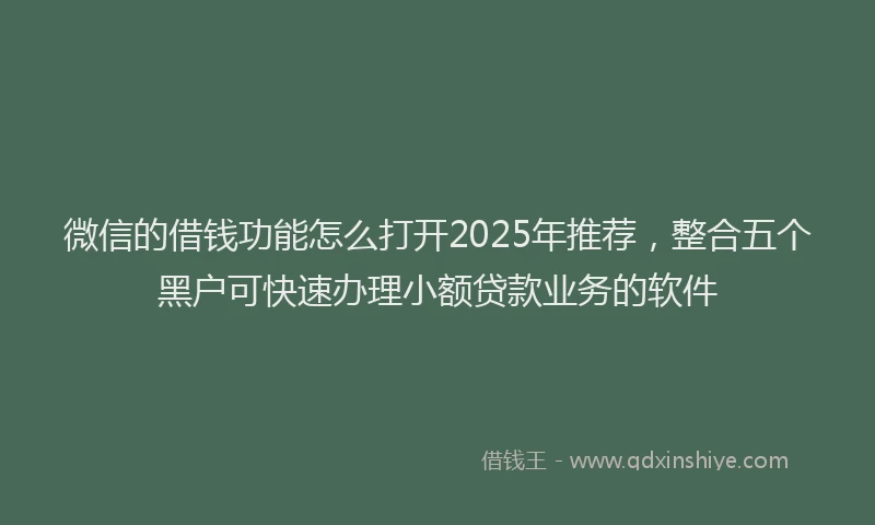 微信的借钱功能怎么打开2025年推荐，整合五个黑户可快速办理小额贷款业务的软件
