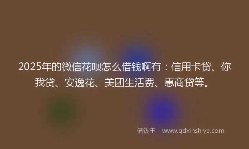 2025年的微信花呗怎么借钱啊有：信用卡贷、你我贷、安逸花、美团生活费、惠商贷等。