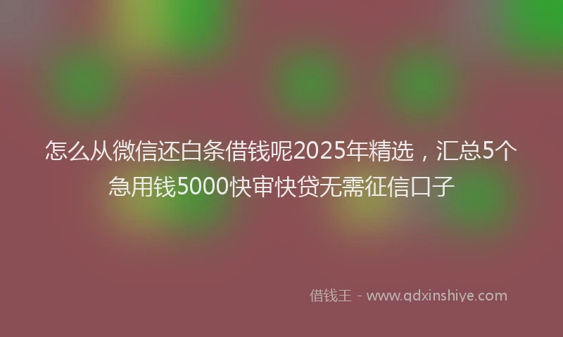 怎么从微信还白条借钱呢2025年精选，汇总5个急用钱5000快审快贷无需征信口子