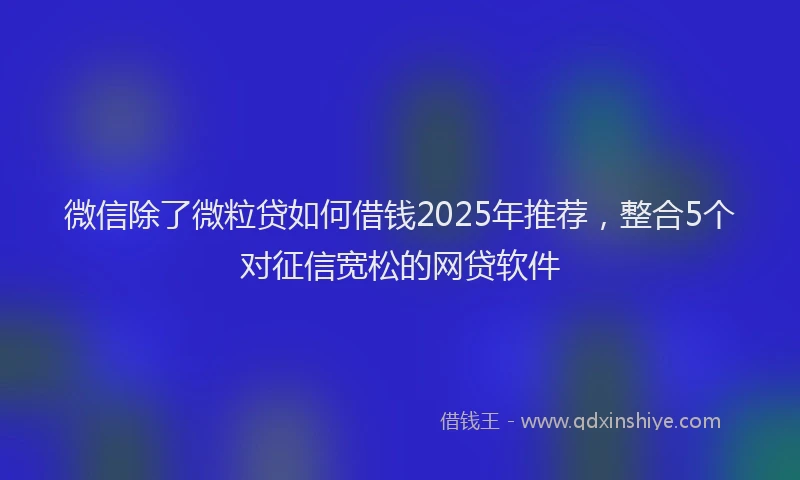 微信除了微粒贷如何借钱2025年推荐，整合5个对征信宽松的网贷软件
