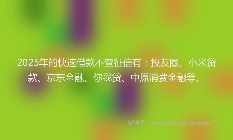 2025年的快速借款不查征信有：投友圈、小米贷款、京东金融、你我贷、中原消费金融等。