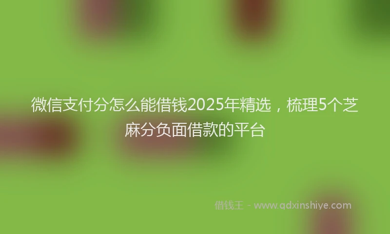 微信支付分怎么能借钱2025年精选，梳理5个芝麻分负面借款的平台