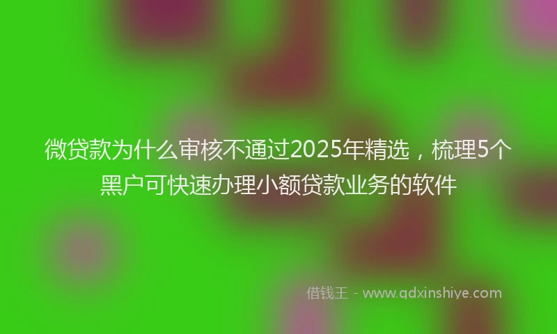 微贷款为什么审核不通过2025年精选，梳理5个黑户可快速办理小额贷款业务的软件