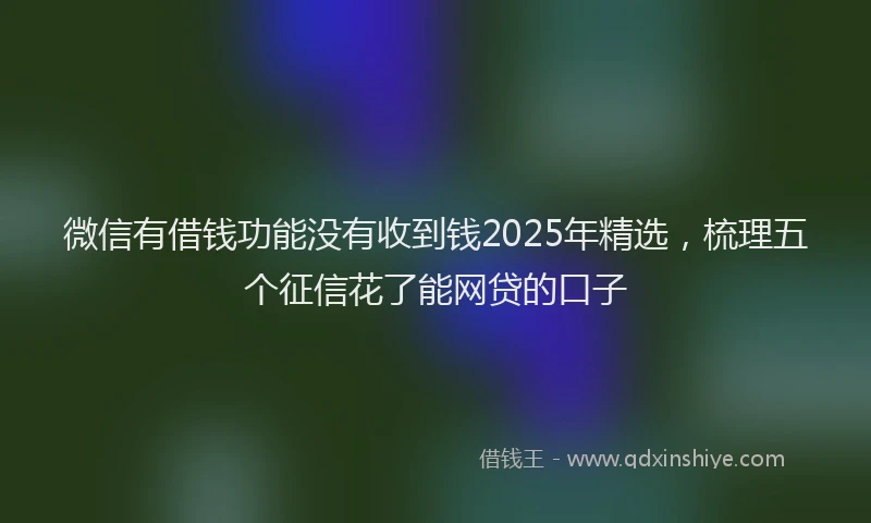 微信有借钱功能没有收到钱2025年精选，梳理五个征信花了能网贷的口子