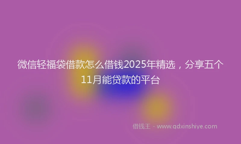 微信轻福袋借款怎么借钱2025年精选，分享五个11月能贷款的平台