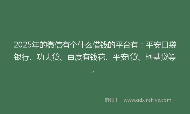 2025年的微信有个什么借钱的平台有：平安口袋银行、功夫贷、百度有钱花、平安i贷、柯基贷等。