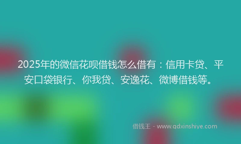 2025年的微信花呗借钱怎么借有：信用卡贷、平安口袋银行、你我贷、安逸花、微博借钱等。
