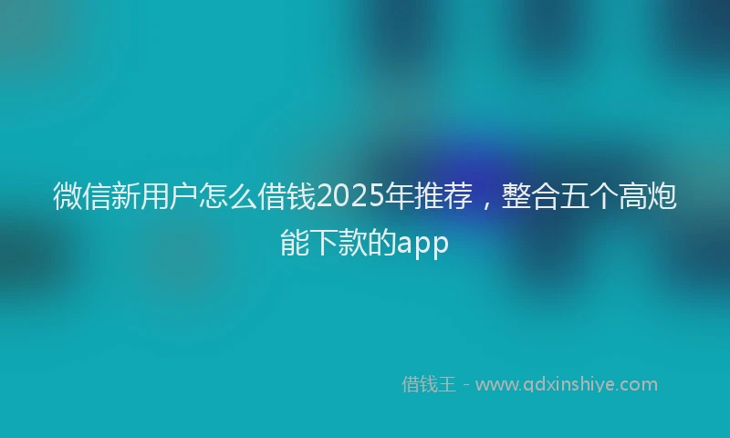 微信新用户怎么借钱2025年推荐，整合五个高炮能下款的app