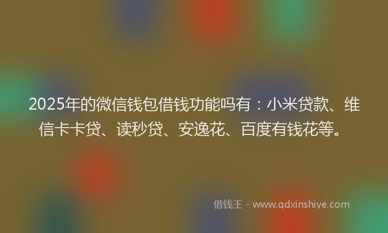 2025年的微信钱包借钱功能吗有：小米贷款、维信卡卡贷、读秒贷、安逸花、百度有钱花等。