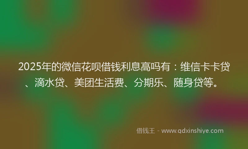 2025年的微信花呗借钱利息高吗有：维信卡卡贷、滴水贷、美团生活费、分期乐、随身贷等。