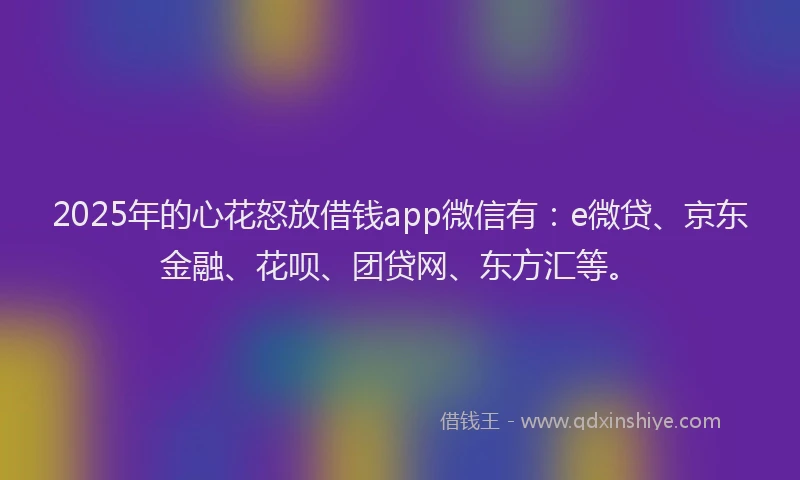 2025年的心花怒放借钱app微信有：e微贷、京东金融、花呗、团贷网、东方汇等。