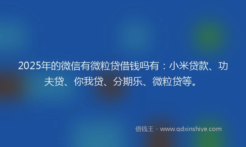 2025年的微信有微粒贷借钱吗有：小米贷款、功夫贷、你我贷、分期乐、微粒贷等。
