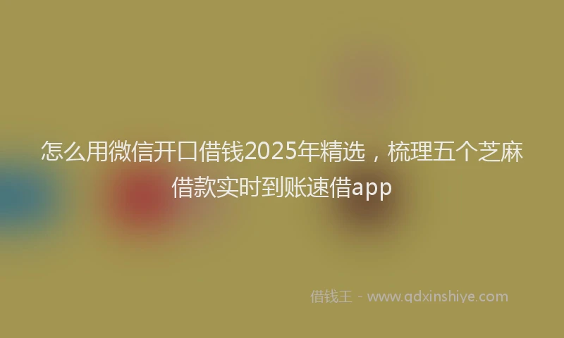 怎么用微信开口借钱2025年精选，梳理五个芝麻借款实时到账速借app