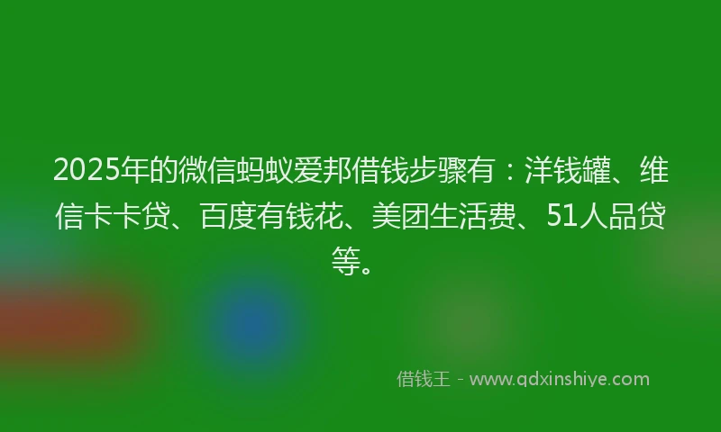 2025年的微信蚂蚁爱邦借钱步骤有：洋钱罐、维信卡卡贷、百度有钱花、美团生活费、51人品贷等。
