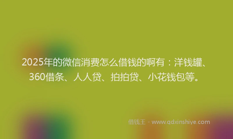 2025年的微信消费怎么借钱的啊有：洋钱罐、360借条、人人贷、拍拍贷、小花钱包等。