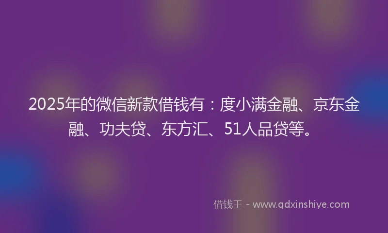 2025年的微信新款借钱有：度小满金融、京东金融、功夫贷、东方汇、51人品贷等。