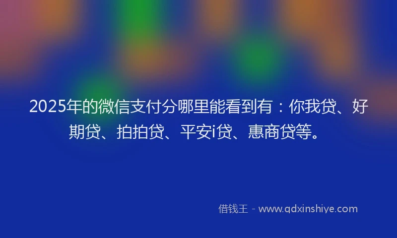 2025年的微信支付分哪里能看到有：你我贷、好期贷、拍拍贷、平安i贷、惠商贷等。