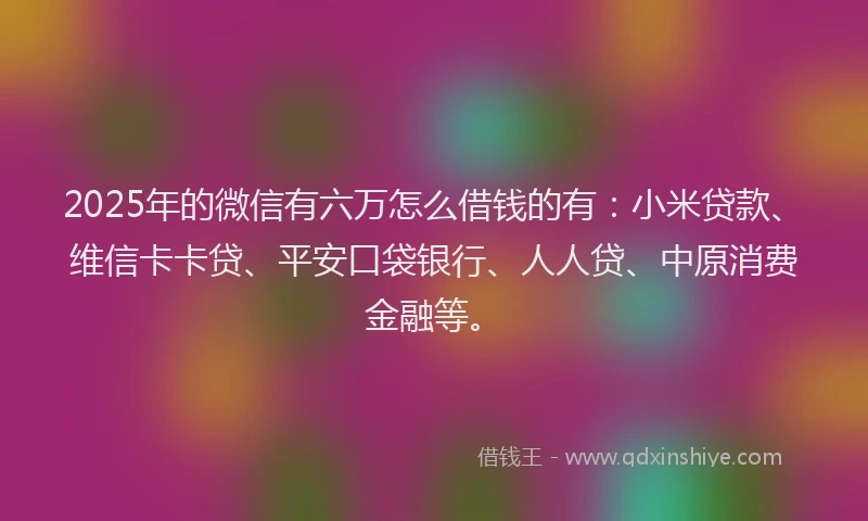 2025年的微信有六万怎么借钱的有：小米贷款、维信卡卡贷、平安口袋银行、人人贷、中原消费金融等。