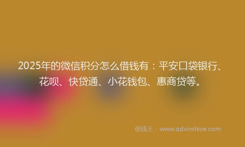 2025年的微信积分怎么借钱有：平安口袋银行、花呗、快贷通、小花钱包、惠商贷等。