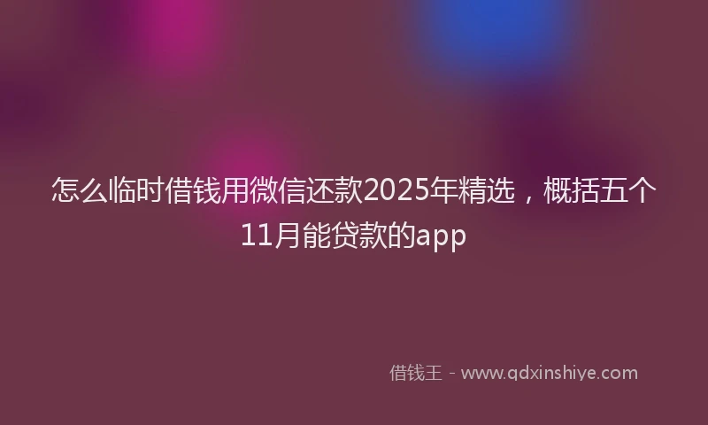 怎么临时借钱用微信还款2025年精选，概括五个11月能贷款的app