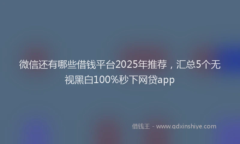 微信还有哪些借钱平台2025年推荐，汇总5个无视黑白100%秒下网贷app