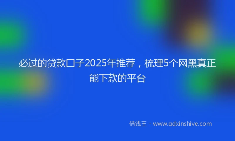 必过的贷款囗子2025年推荐，梳理5个网黑真正能下款的平台