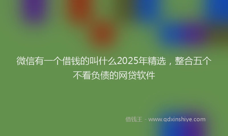 微信有一个借钱的叫什么2025年精选，整合五个不看负债的网贷软件