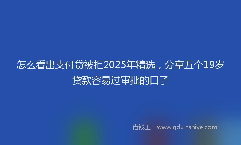 怎么看出支付贷被拒2025年精选，分享五个19岁贷款容易过审批的口子