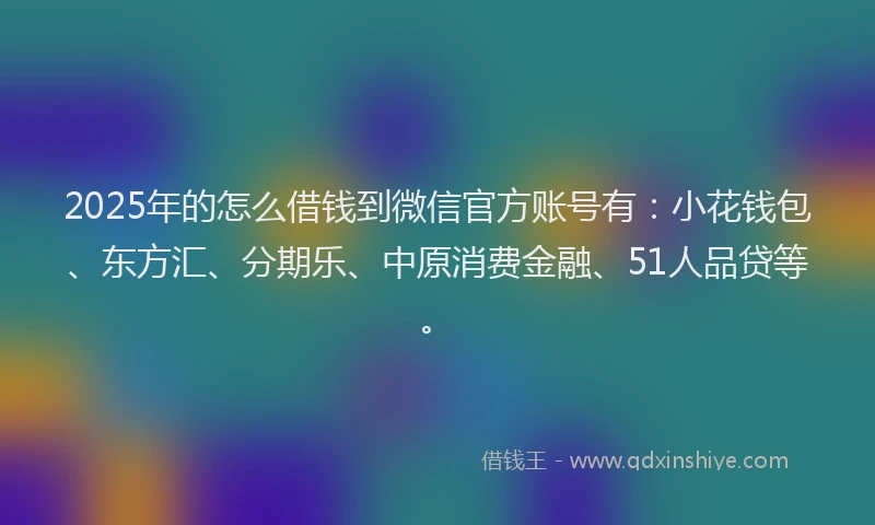 2025年的怎么借钱到微信官方账号有：小花钱包、东方汇、分期乐、中原消费金融、51人品贷等。