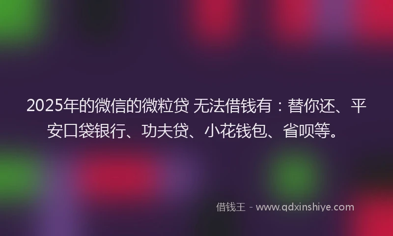 2025年的微信的微粒贷 无法借钱有：替你还、平安口袋银行、功夫贷、小花钱包、省呗等。