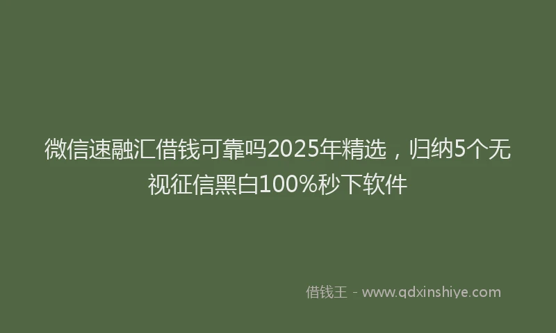 微信速融汇借钱可靠吗2025年精选，归纳5个无视征信黑白100%秒下软件