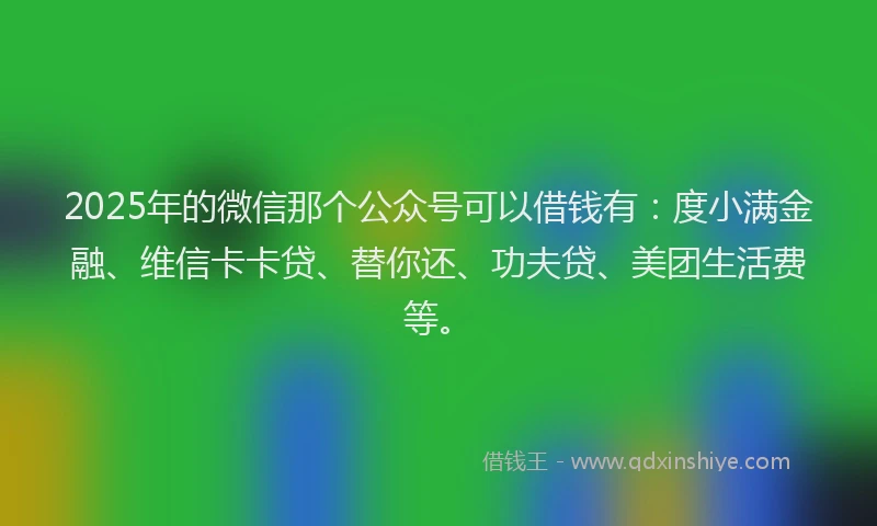 2025年的微信那个公众号可以借钱有：度小满金融、维信卡卡贷、替你还、功夫贷、美团生活费等。