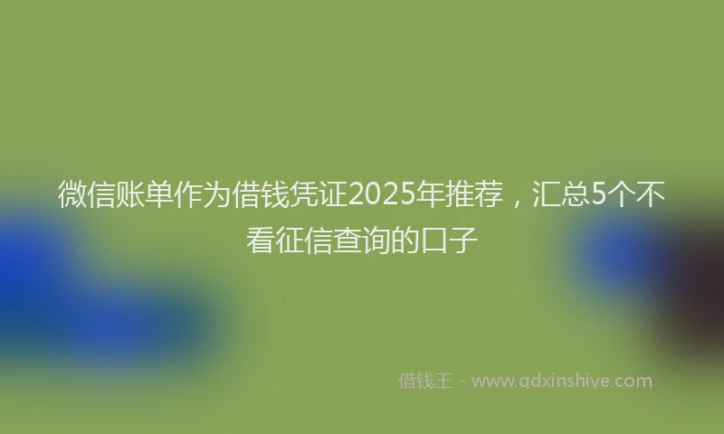 微信账单作为借钱凭证2025年推荐，汇总5个不看征信查询的口子
