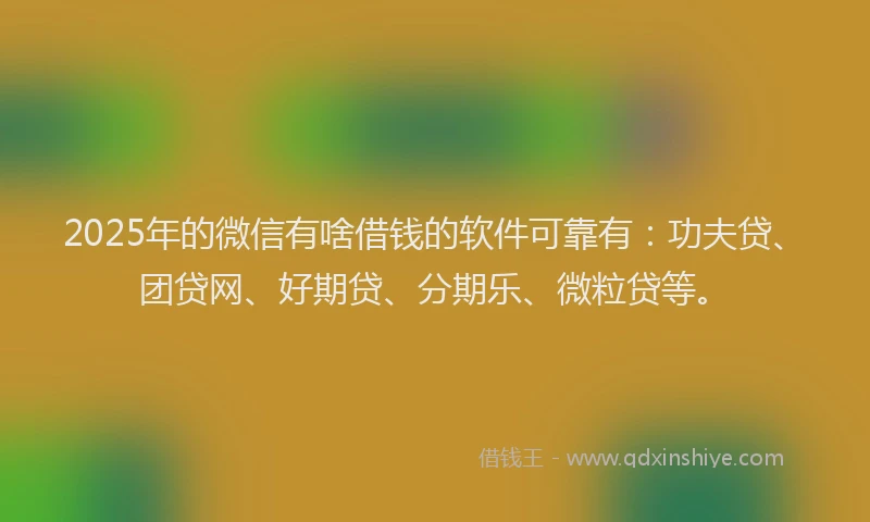 2025年的微信有啥借钱的软件可靠有：功夫贷、团贷网、好期贷、分期乐、微粒贷等。